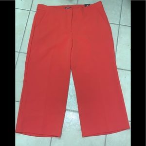 NWT Express Culottes